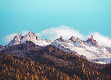 LOL Worlds 积分榜-董春雨：打出了教练的要求 队友受伤导致痛失好局